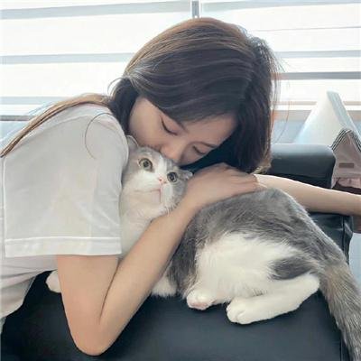 海豚王之死